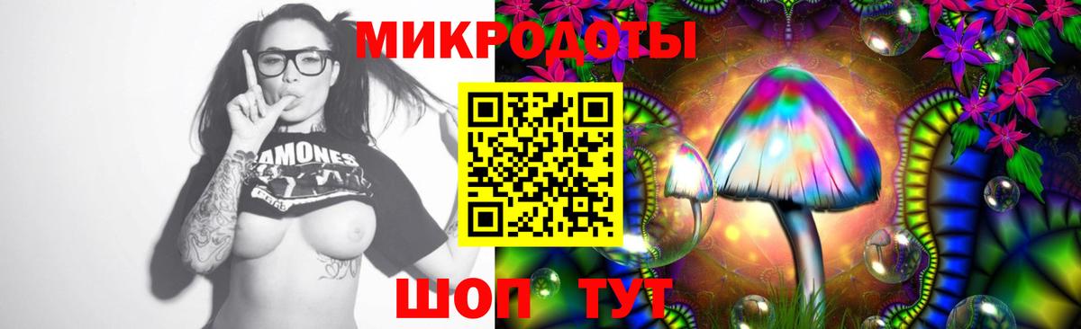 Волоколамск  Псилоцибиновые грибы ЛСД  Вход с VPN 